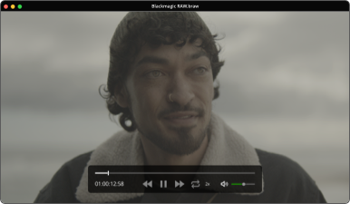 Video Preview